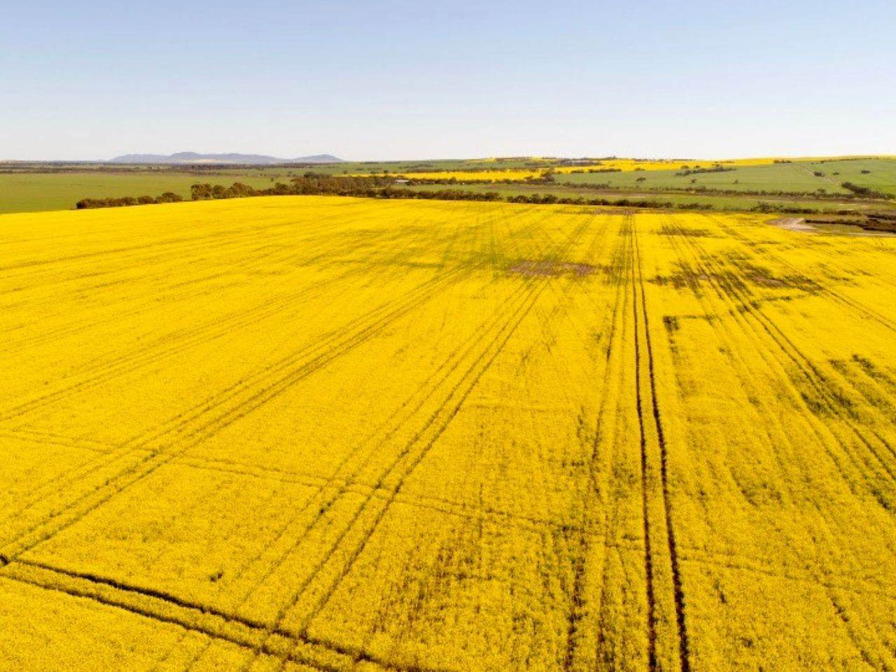474 Pub Corner Road, Cockaleechie For Sale by Farmbuy.com - image 10