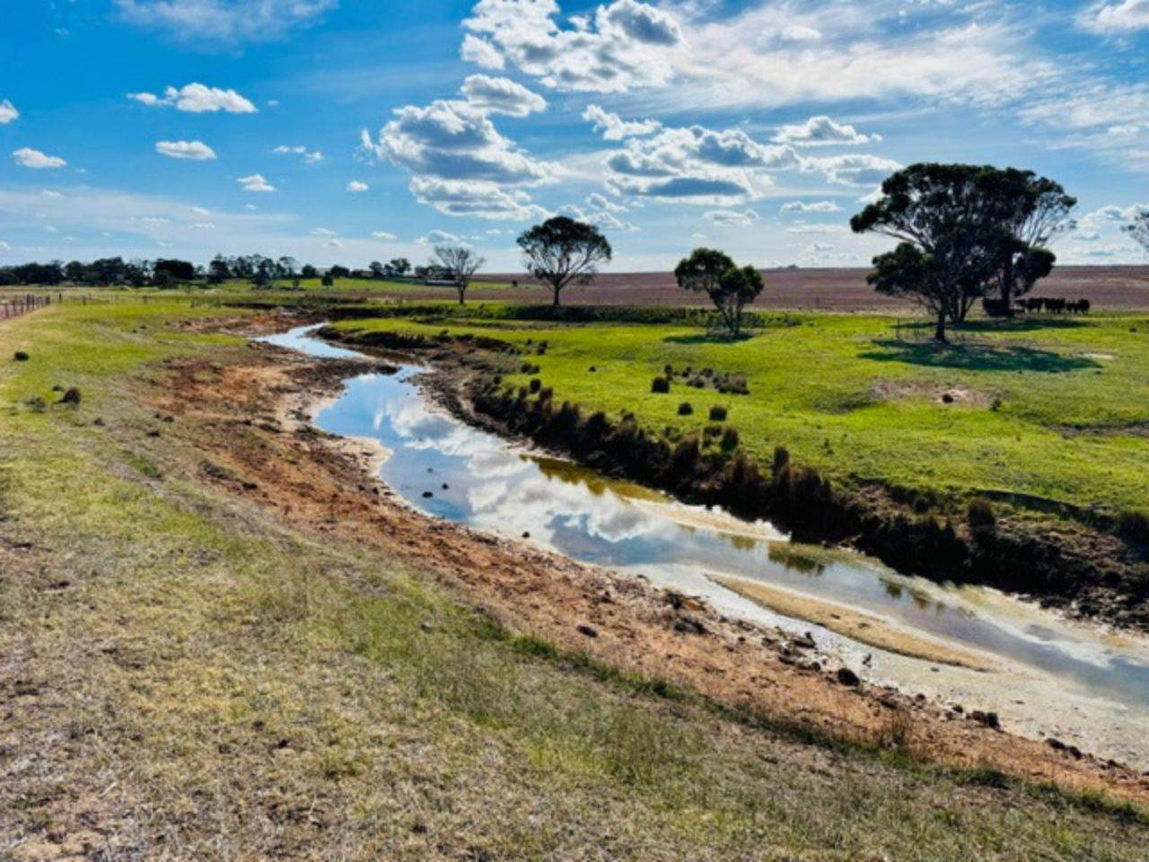 474 Pub Corner Road, Cockaleechie For Sale by Farmbuy.com - image 18