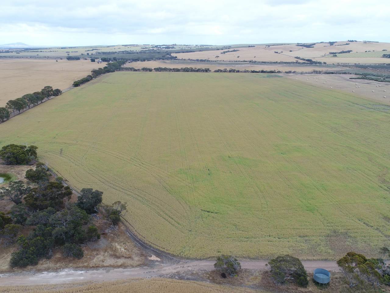 474 Pub Corner Road, Cockaleechie For Sale by Farmbuy.com - image 21