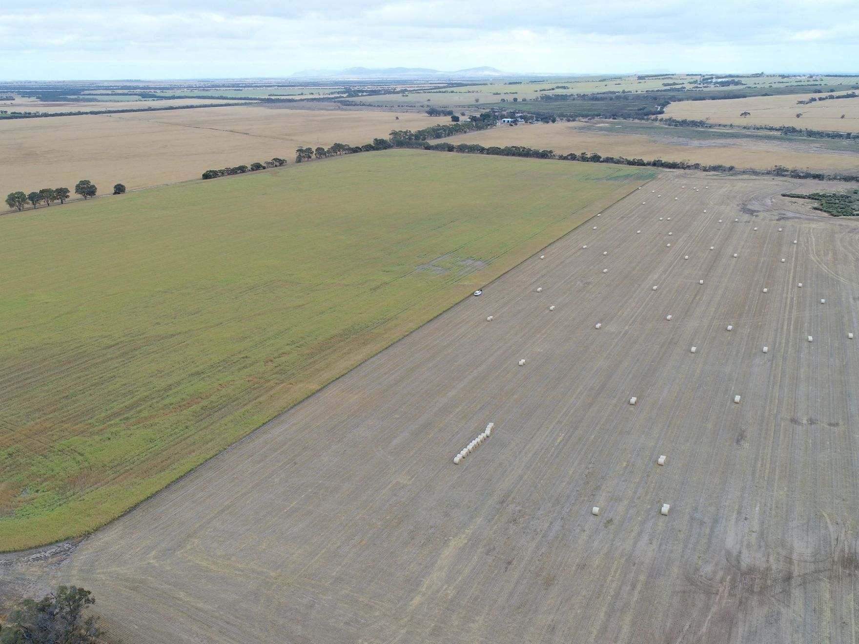 474 Pub Corner Road, Cockaleechie For Sale by Farmbuy.com - image 22