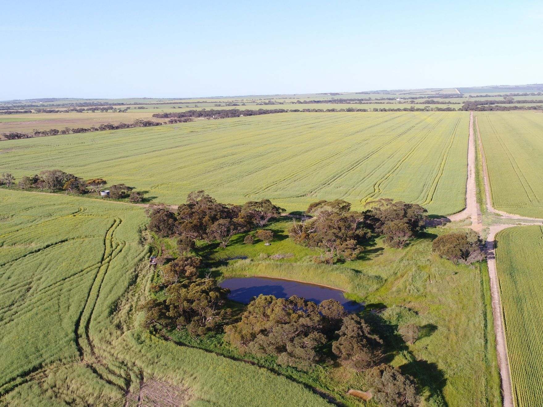 474 Pub Corner Road, Cockaleechie For Sale by Farmbuy.com - image 19