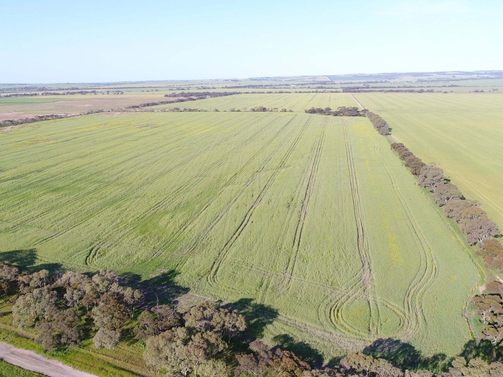 474 Pub Corner Road, Cockaleechie For Sale by Farmbuy.com - image 20