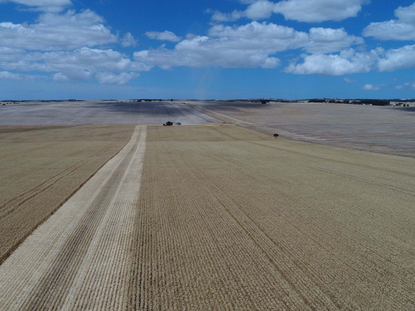 474 Pub Corner Road, Cockaleechie For Sale by Farmbuy.com - image 12