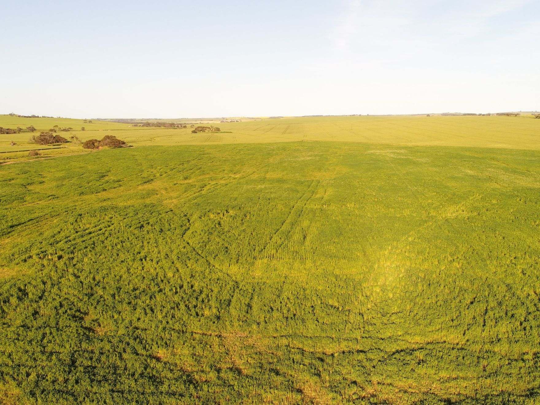 474 Pub Corner Road, Cockaleechie For Sale by Farmbuy.com - image 23