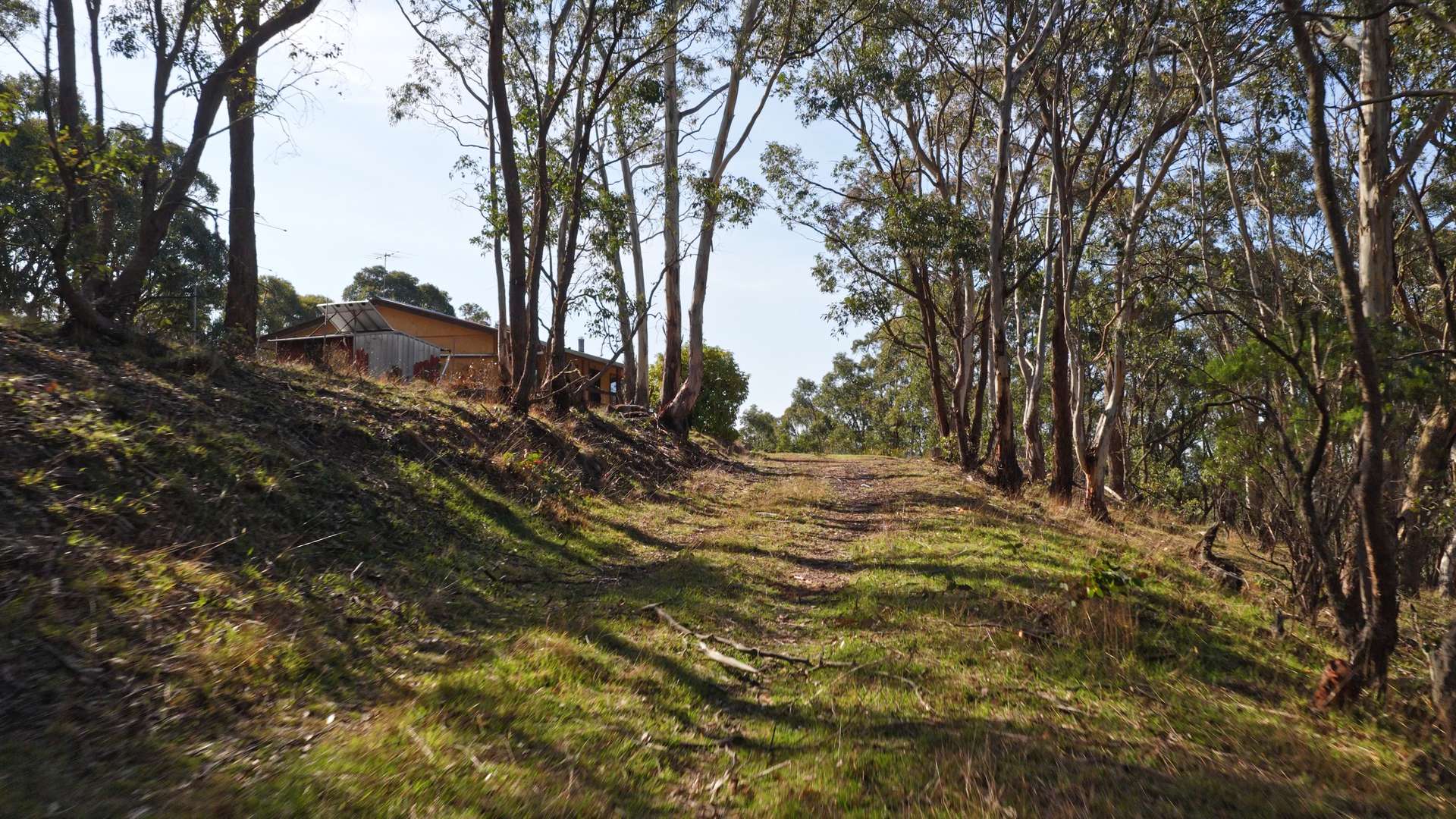 187 Kangaroo Track, Omeo For Sale by Farmbuy.com - image 17