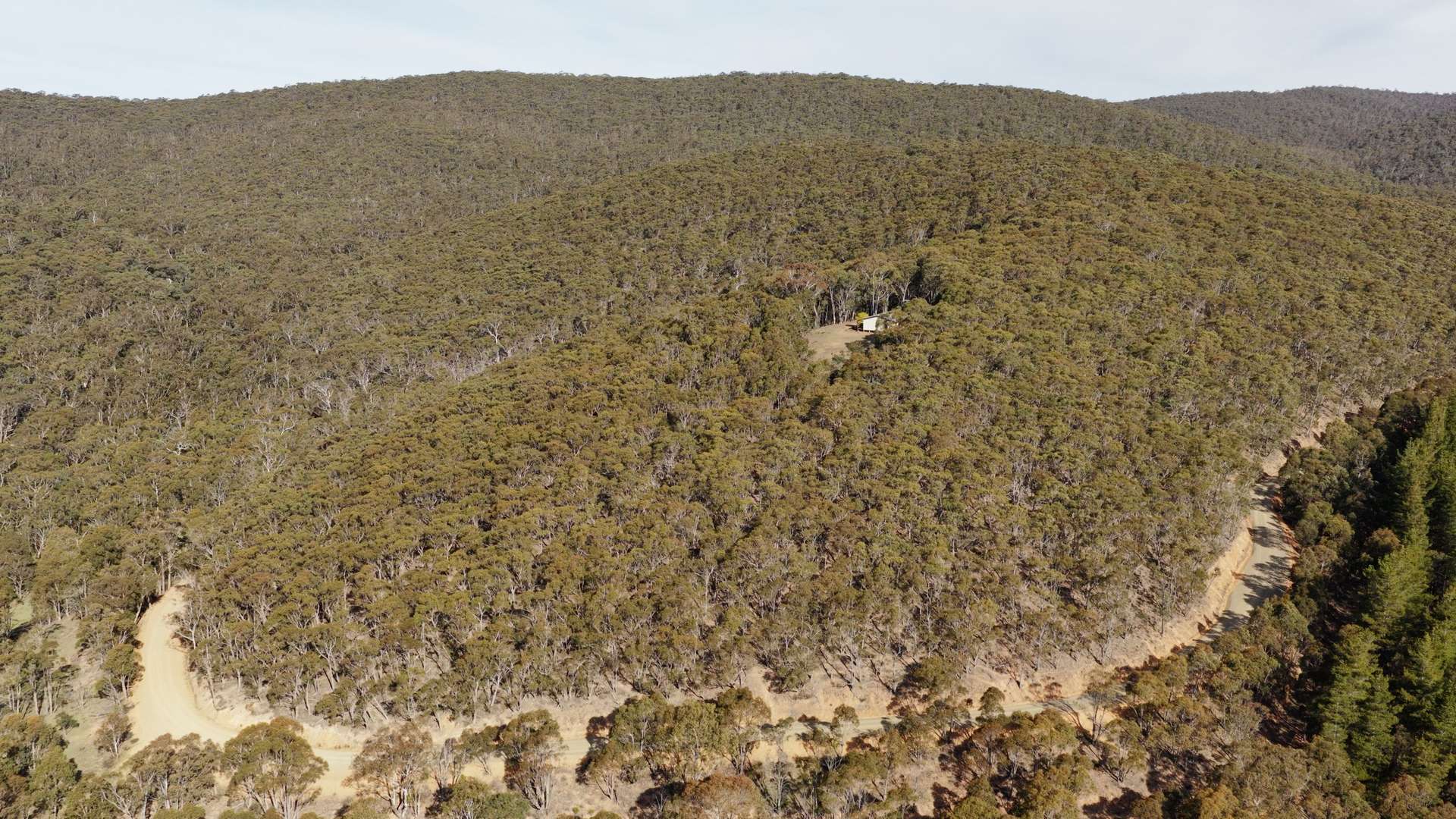 187 Kangaroo Track, Omeo For Sale by Farmbuy.com - image 19