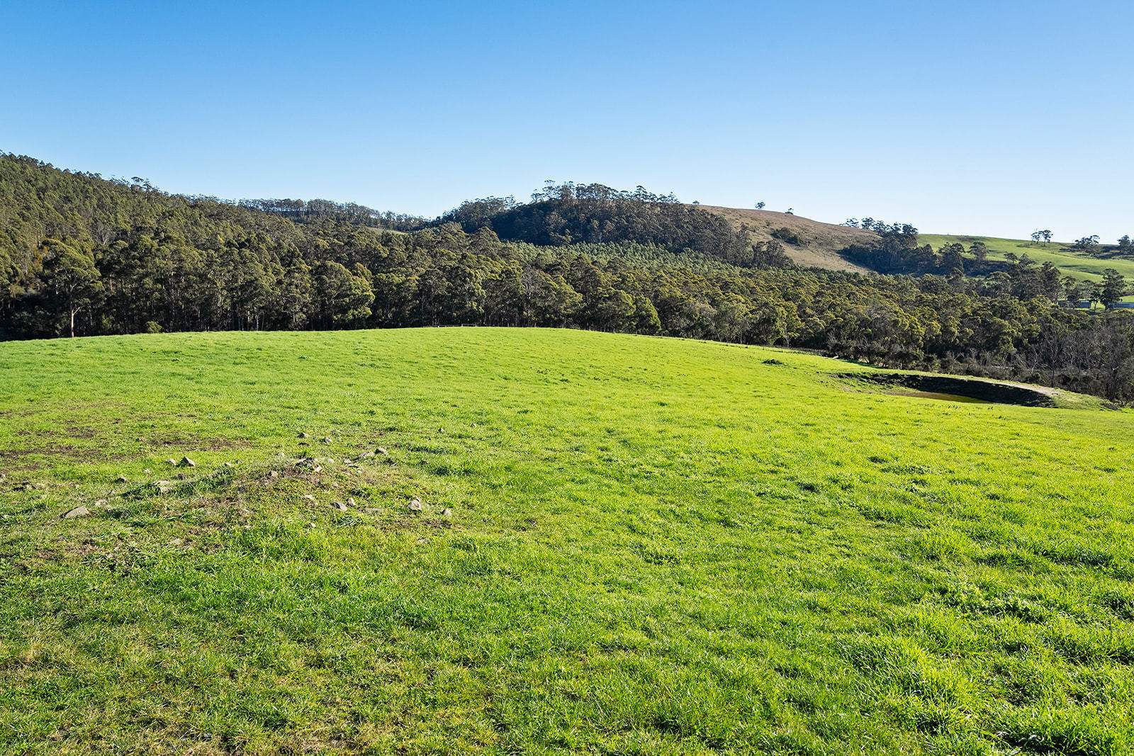 191 Littles Road, Premaydena For Sale by Farmbuy.com - image 11