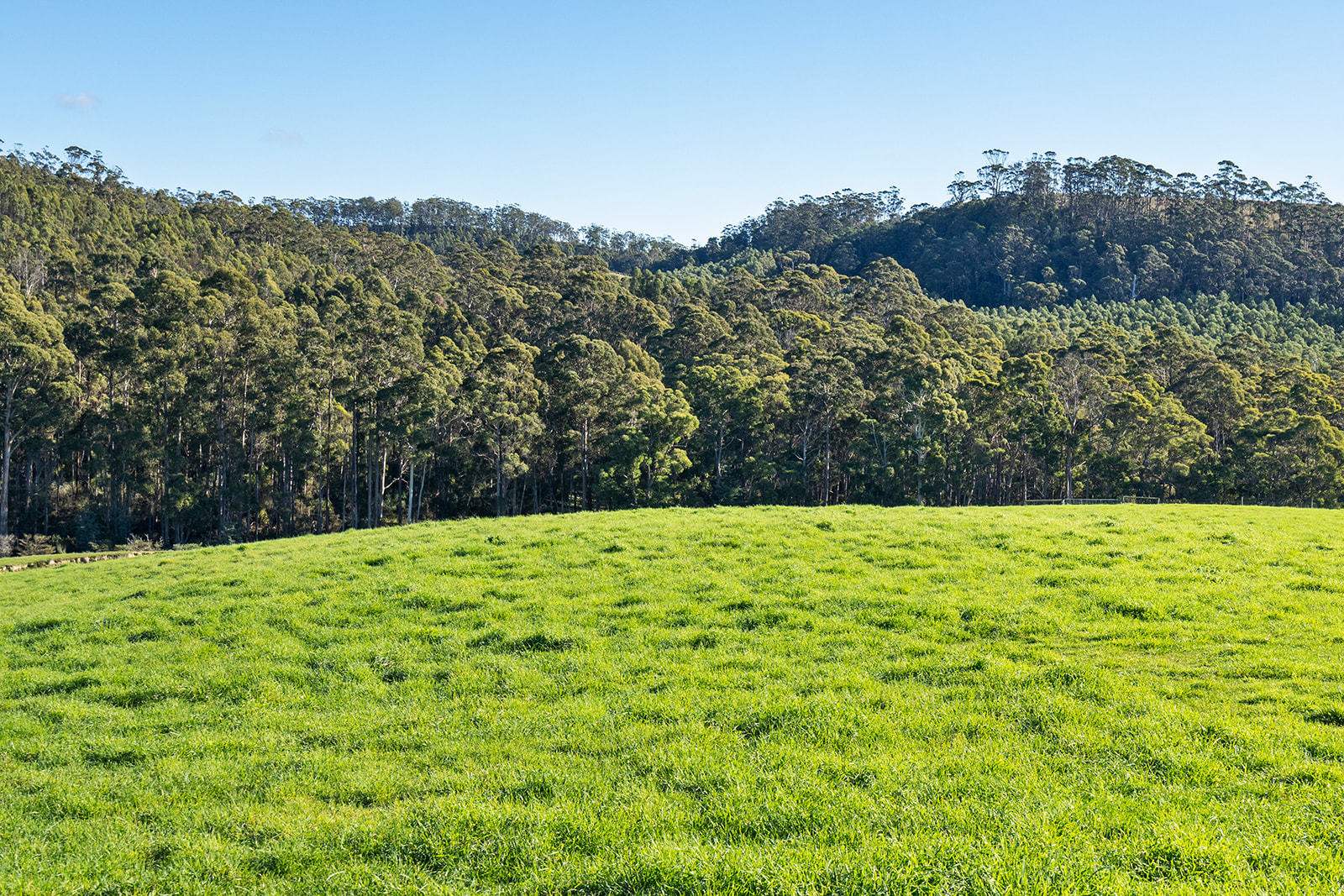 191 Littles Road, Premaydena For Sale by Farmbuy.com - image 10