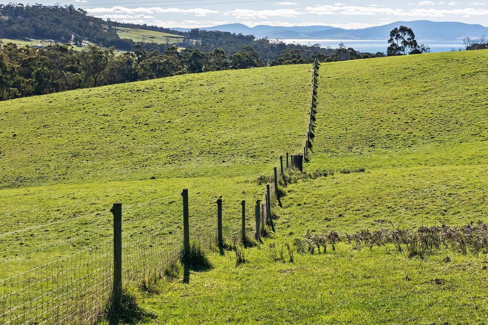 191 Littles Road, Premaydena For Sale by Farmbuy.com - image 15