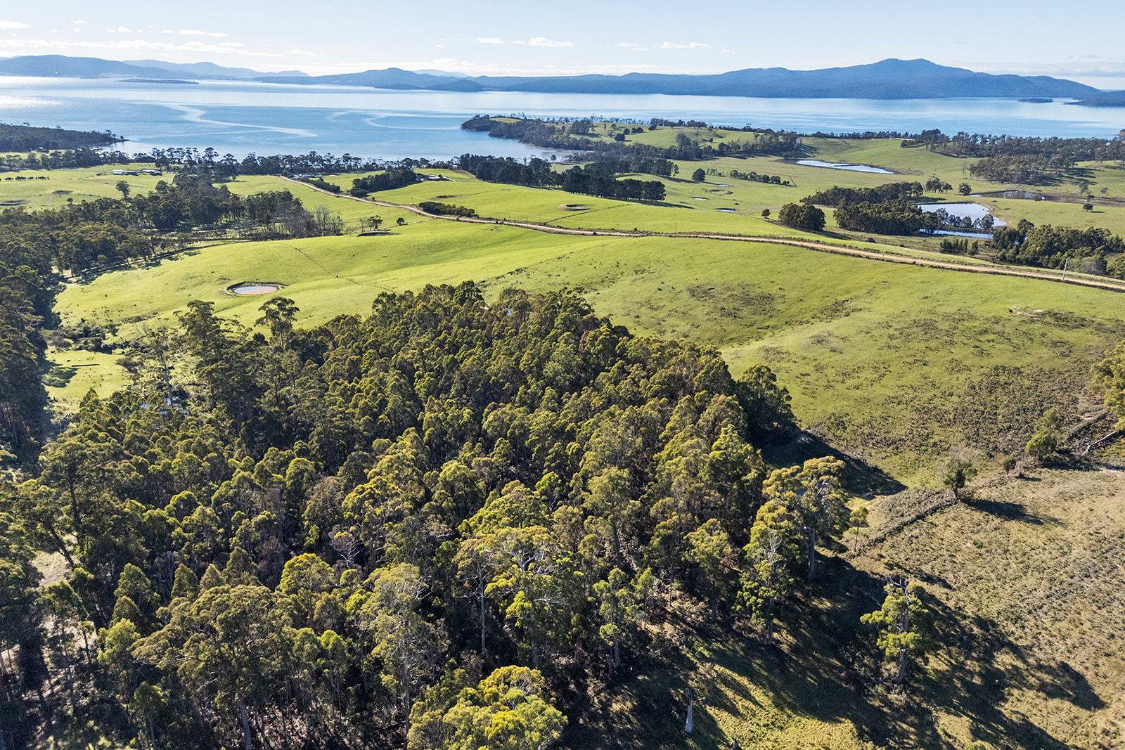 191 Littles Road, Premaydena For Sale by Farmbuy.com - image 3