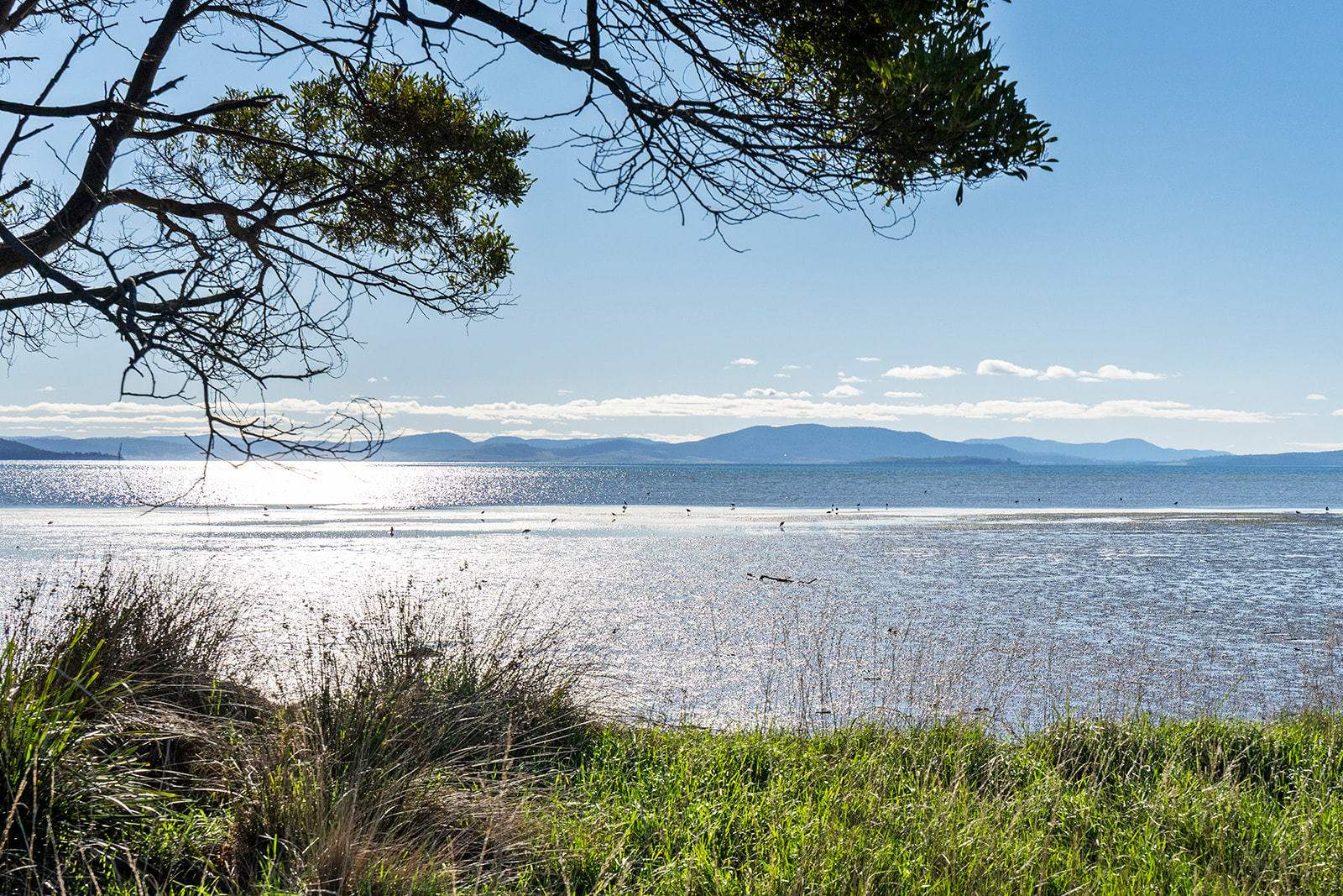 191 Littles Road, Premaydena For Sale by Farmbuy.com - image 18