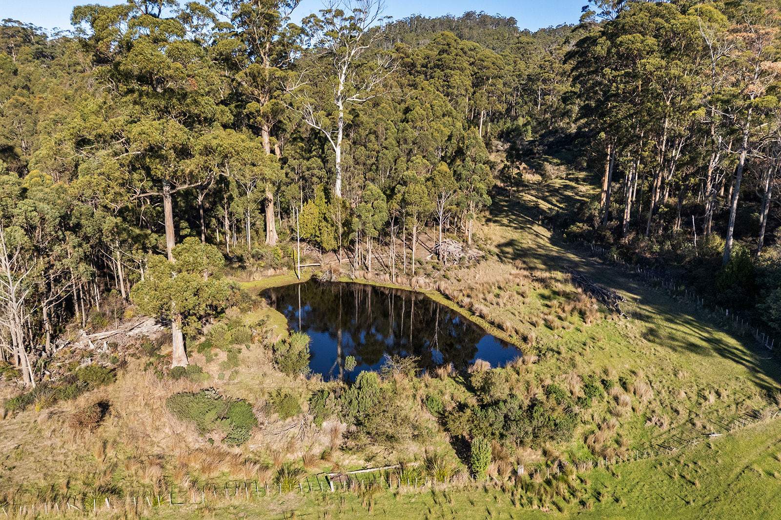 191 Littles Road, Premaydena For Sale by Farmbuy.com - image 6