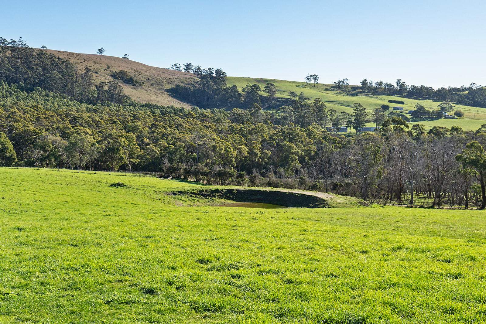 191 Littles Road, Premaydena For Sale by Farmbuy.com - image 9