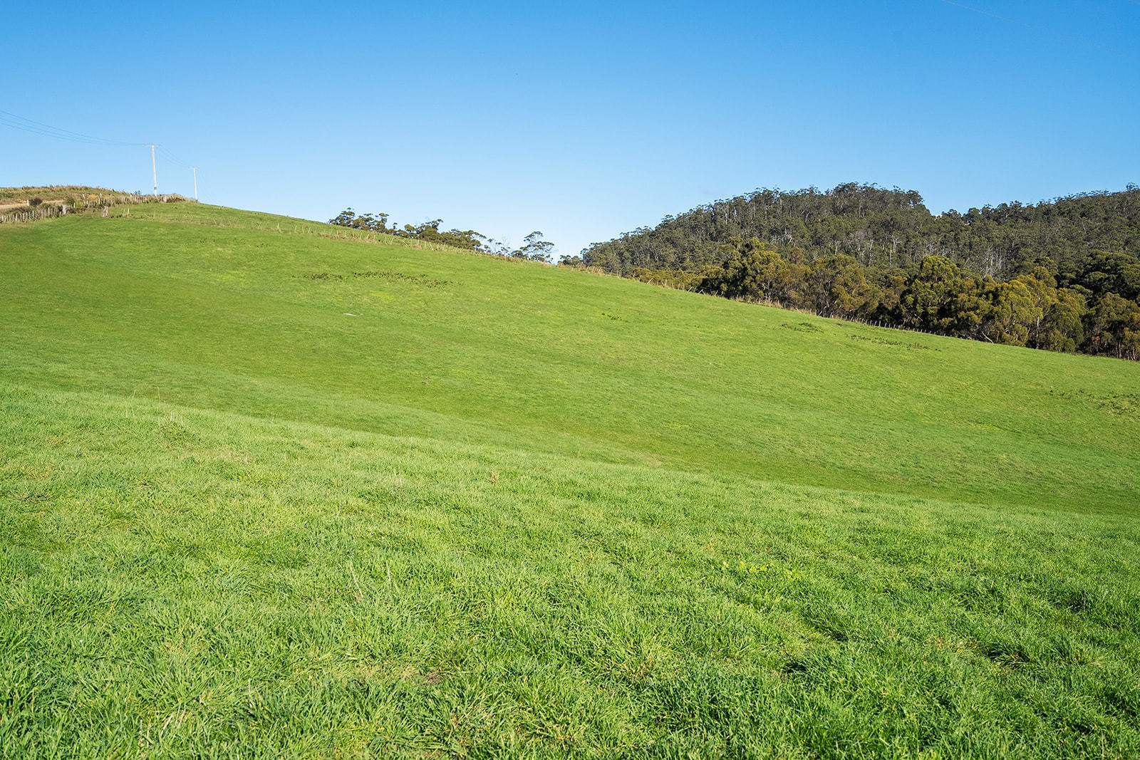191 Littles Road, Premaydena For Sale by Farmbuy.com - image 7