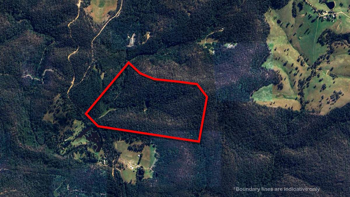 682A Marathon Road, Briagolong For Sale by Farmbuy.com - image 16