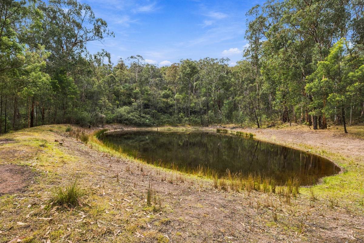 682A Marathon Road, Briagolong For Sale by Farmbuy.com - image 7