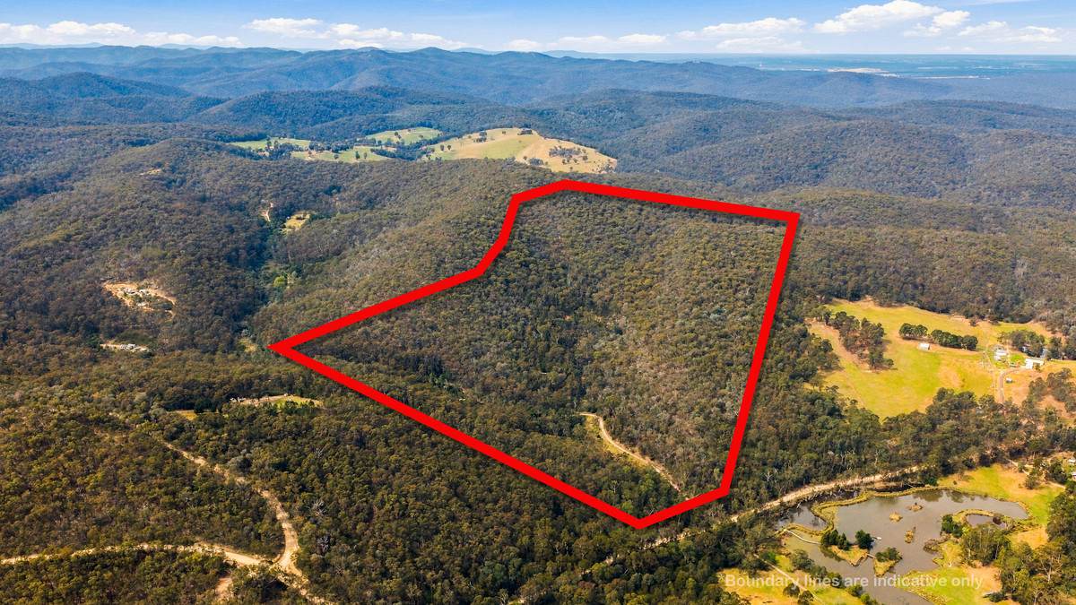 682A Marathon Road, Briagolong For Sale by Farmbuy.com - image 2