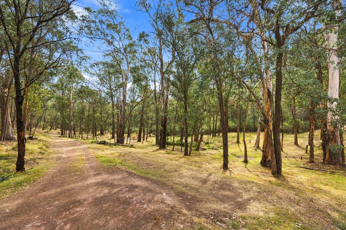 682A Marathon Road, Briagolong For Sale by Farmbuy.com - image 3