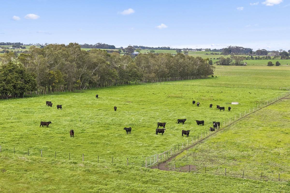 230 Colac - Ballarat Road, Irrewarra For Sale by Farmbuy.com - image 27