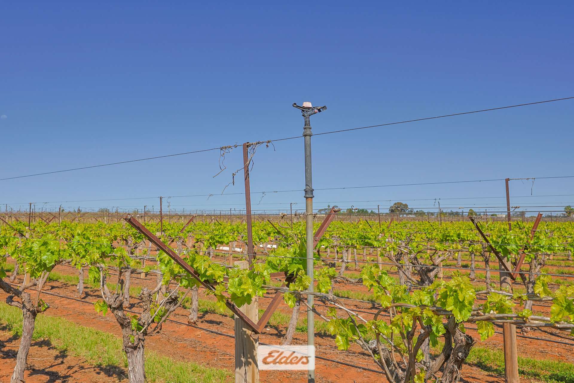 83A Belar Avenue, Irymple For Sale by Farmbuy.com - image 26