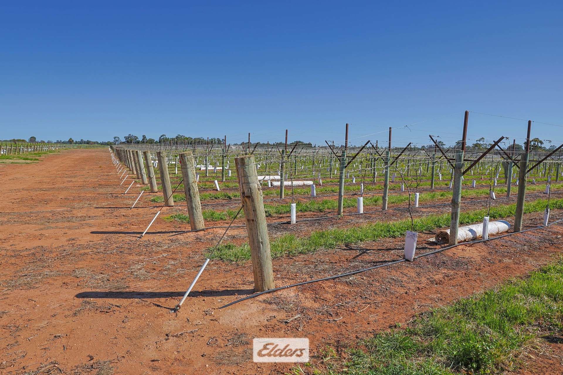 83A Belar Avenue, Irymple For Sale by Farmbuy.com - image 23