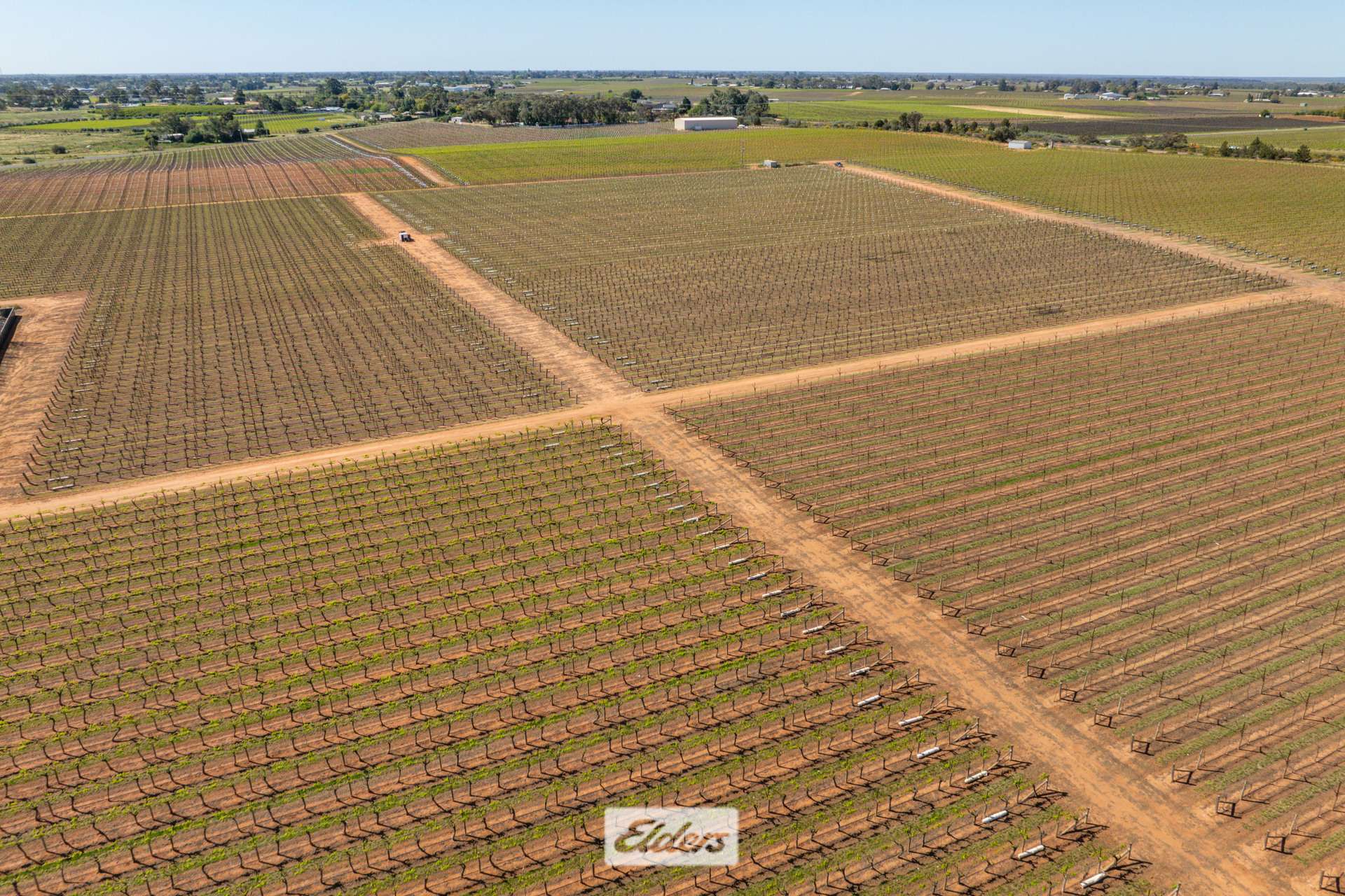 83A Belar Avenue, Irymple For Sale by Farmbuy.com - image 6