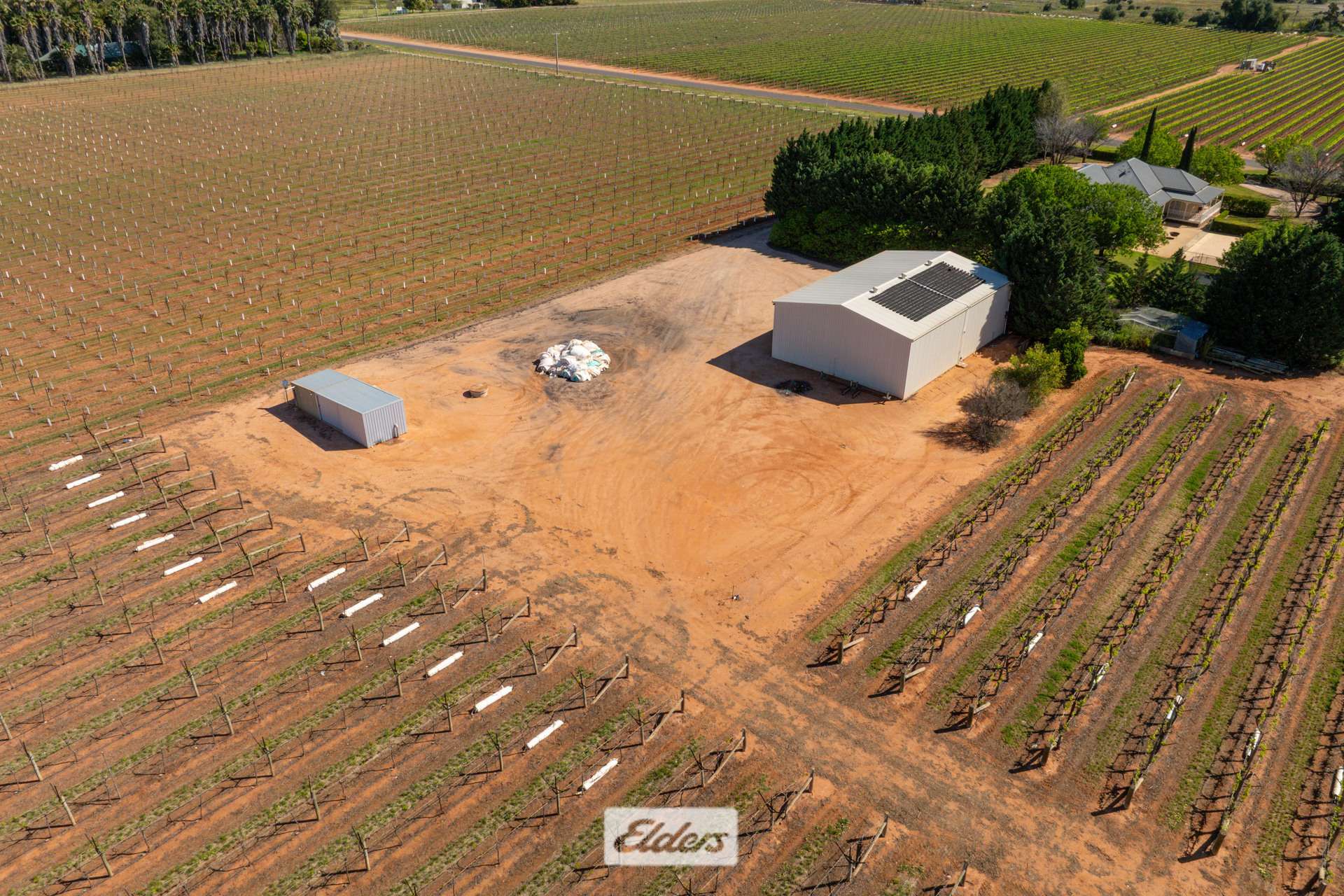 83A Belar Avenue, Irymple For Sale by Farmbuy.com - image 9