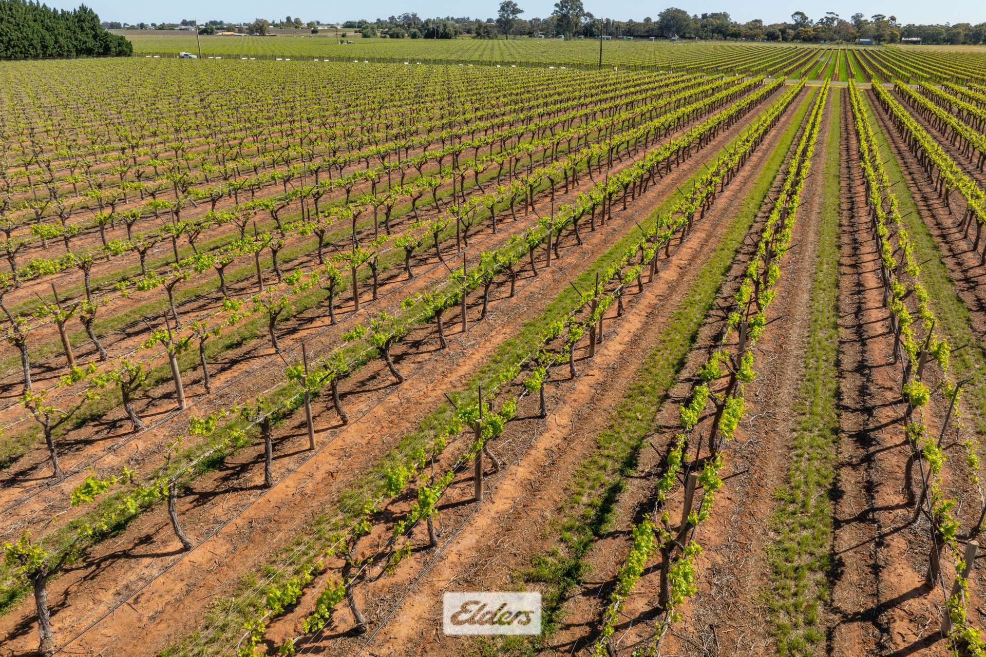 83A Belar Avenue, Irymple For Sale by Farmbuy.com - image 3