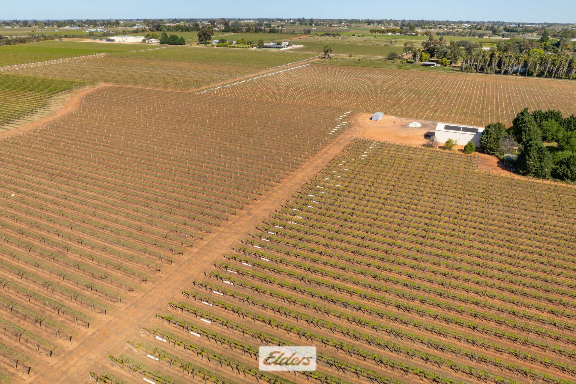 83A Belar Avenue, Irymple For Sale by Farmbuy.com - image 20