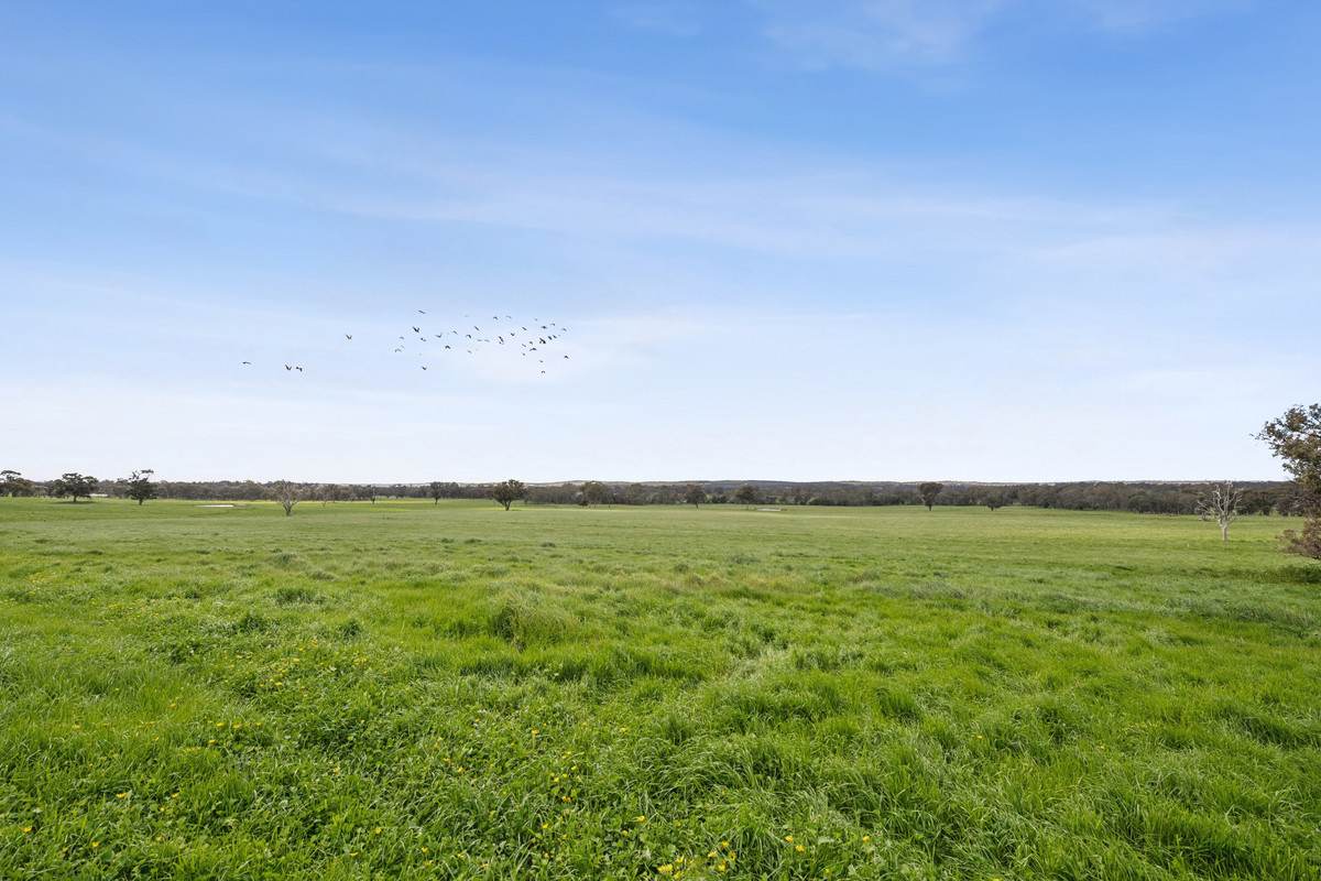 875 Emu Creek Road, Emu Creek For Sale by Farmbuy.com - image 4