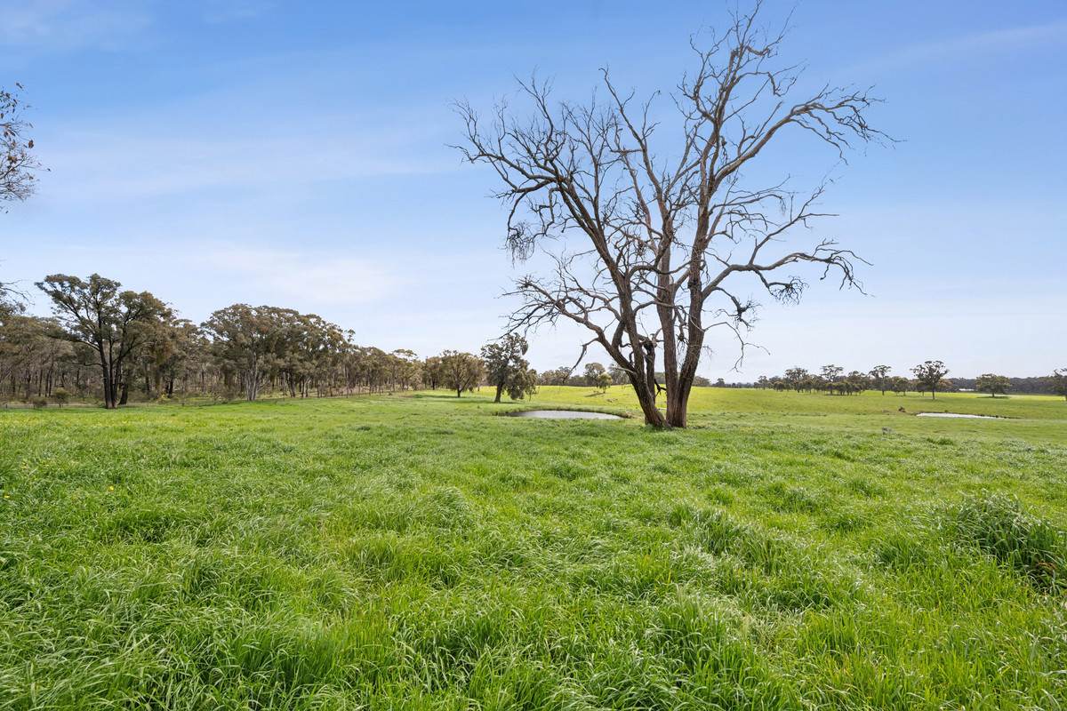 875 Emu Creek Road, Emu Creek For Sale by Farmbuy.com - image 5