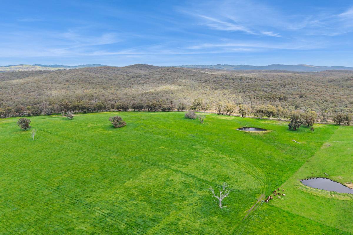 875 Emu Creek Road, Emu Creek For Sale by Farmbuy.com - image 9