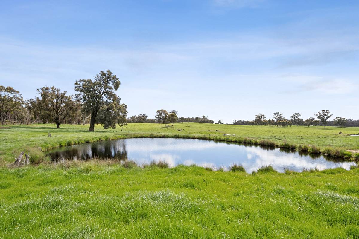 875 Emu Creek Road, Emu Creek For Sale by Farmbuy.com - image 7
