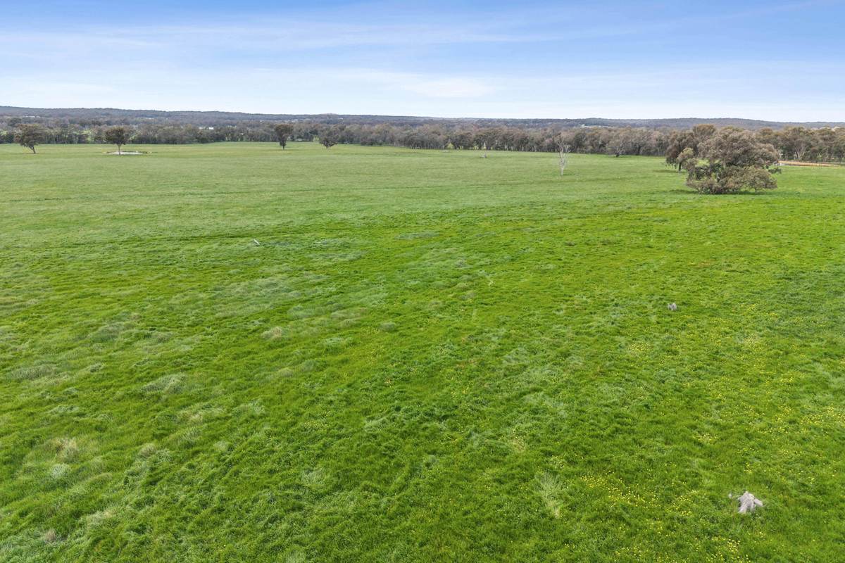 875 Emu Creek Road, Emu Creek For Sale by Farmbuy.com - image 8