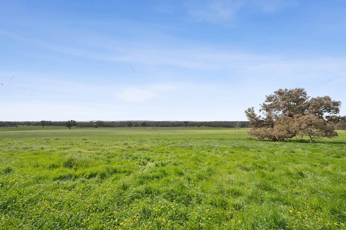875 Emu Creek Road, Emu Creek For Sale by Farmbuy.com - image 6
