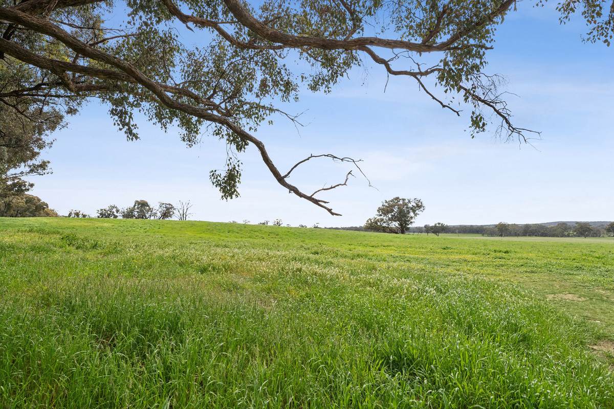 875 Emu Creek Road, Emu Creek For Sale by Farmbuy.com - image 2
