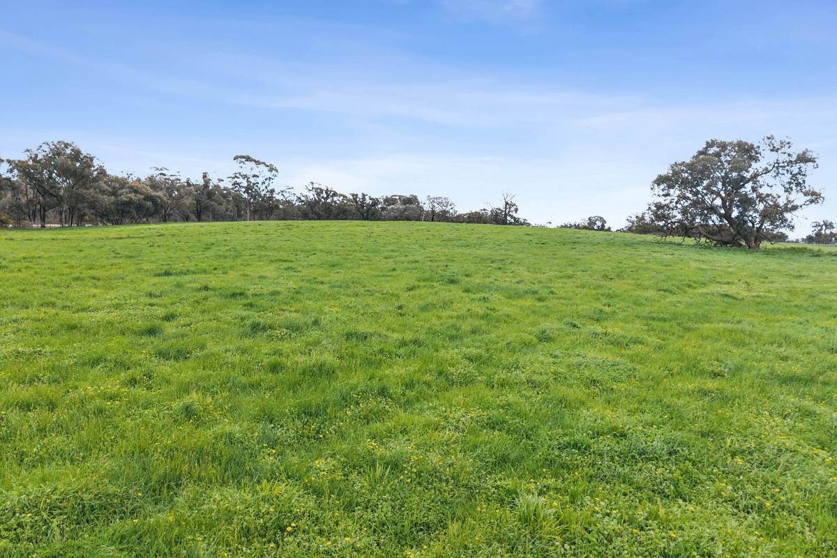 875 Emu Creek Road, Emu Creek For Sale by Farmbuy.com - image 3