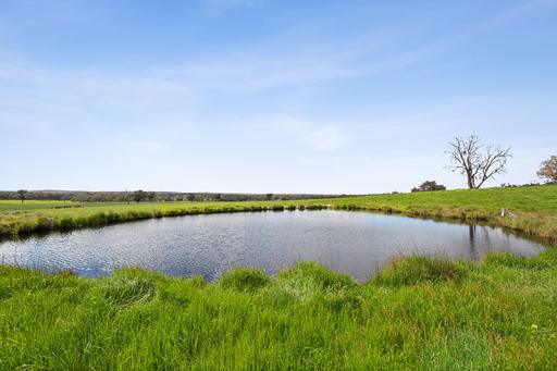 Farm For Sale - VIC - Emu Creek - 3551 - 20 acres of beautiful country. Open skies. Rich pasture. A home site with a view. 