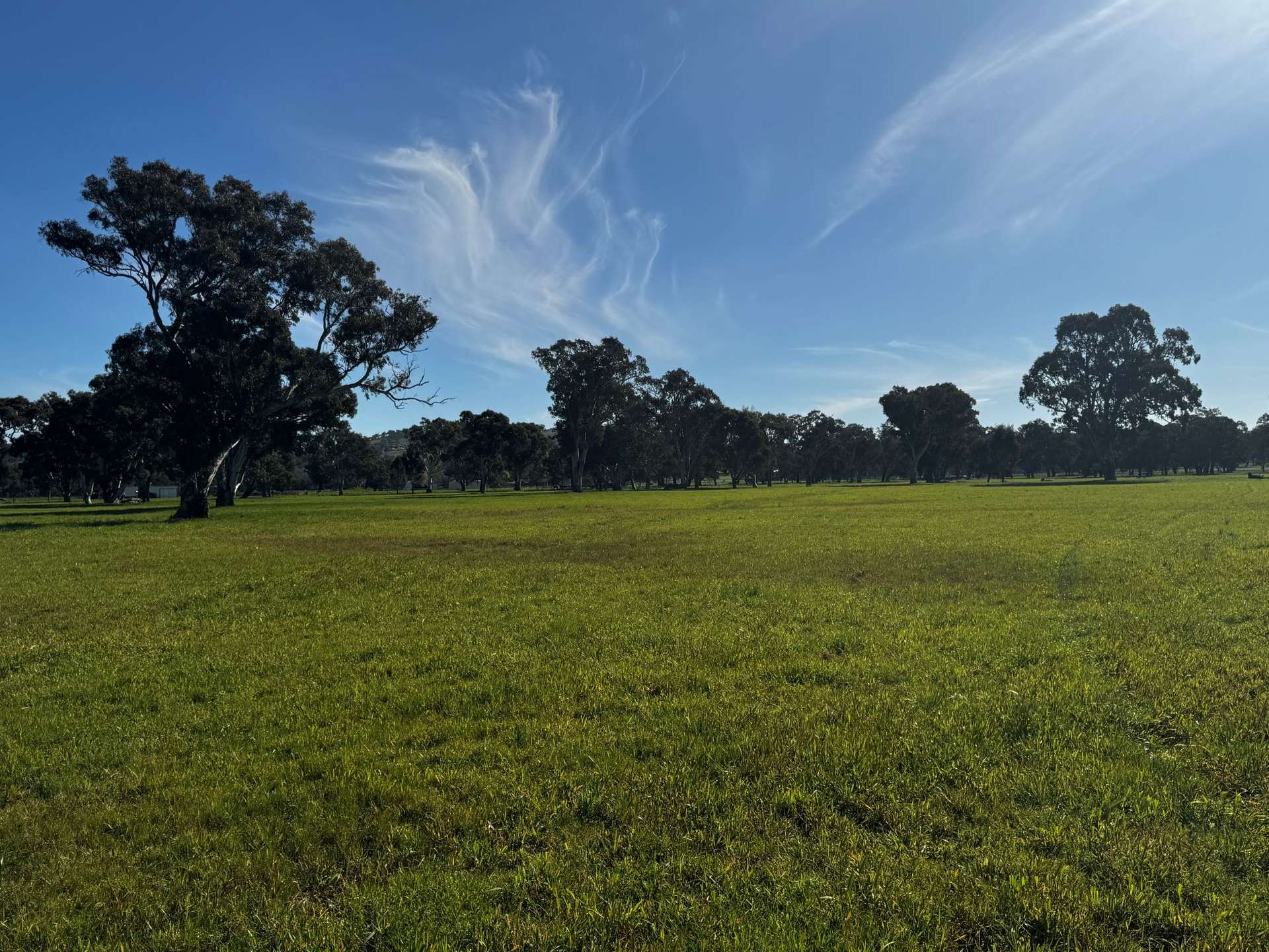 84 West Jindalee Road, Cootamundra For Sale by Farmbuy.com - image 7