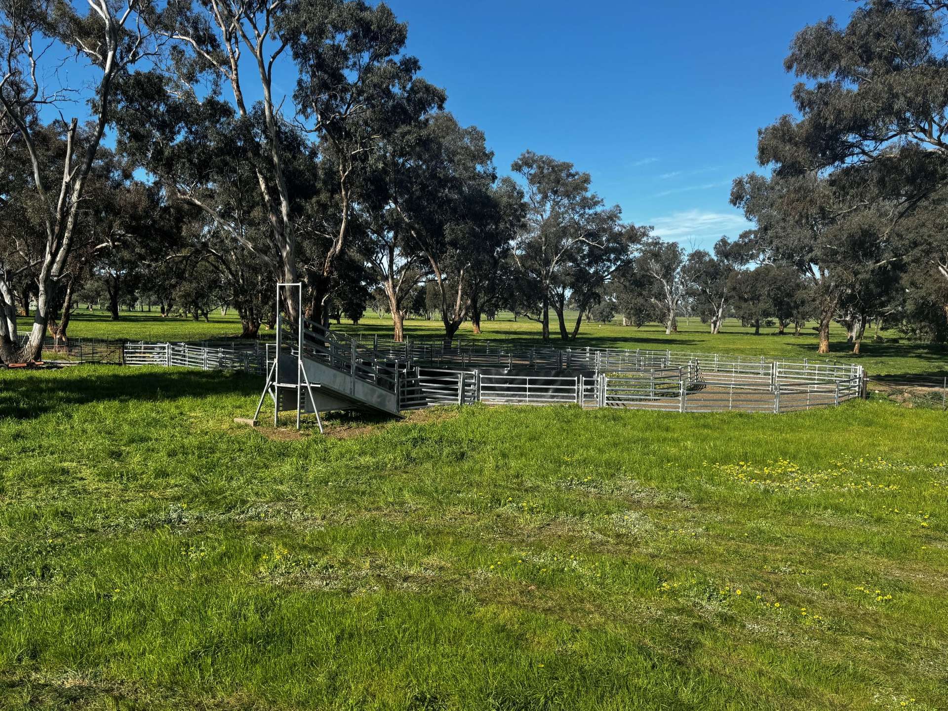 84 West Jindalee Road, Cootamundra For Sale by Farmbuy.com - image 5