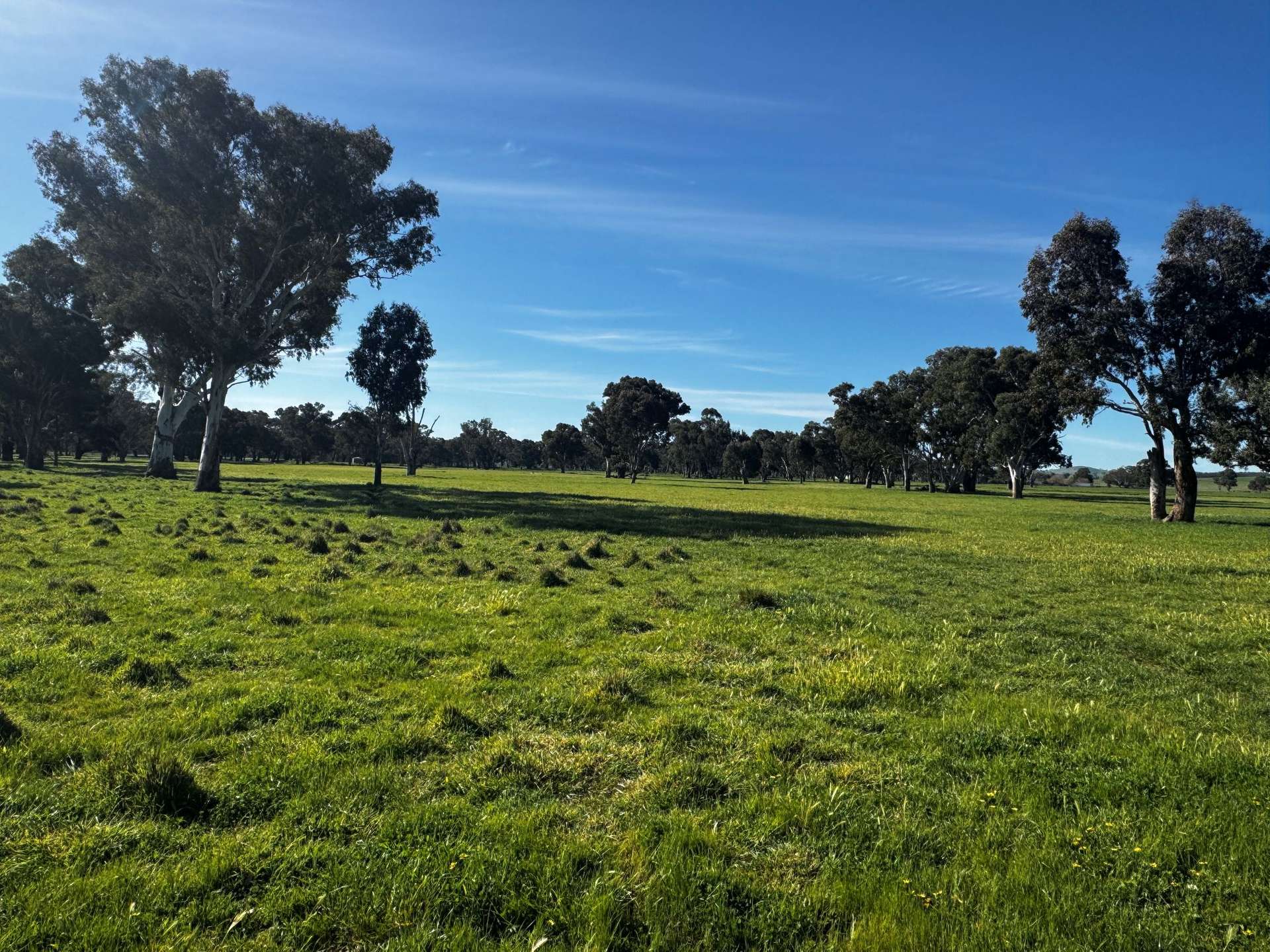 84 West Jindalee Road, Cootamundra For Sale by Farmbuy.com - image 6