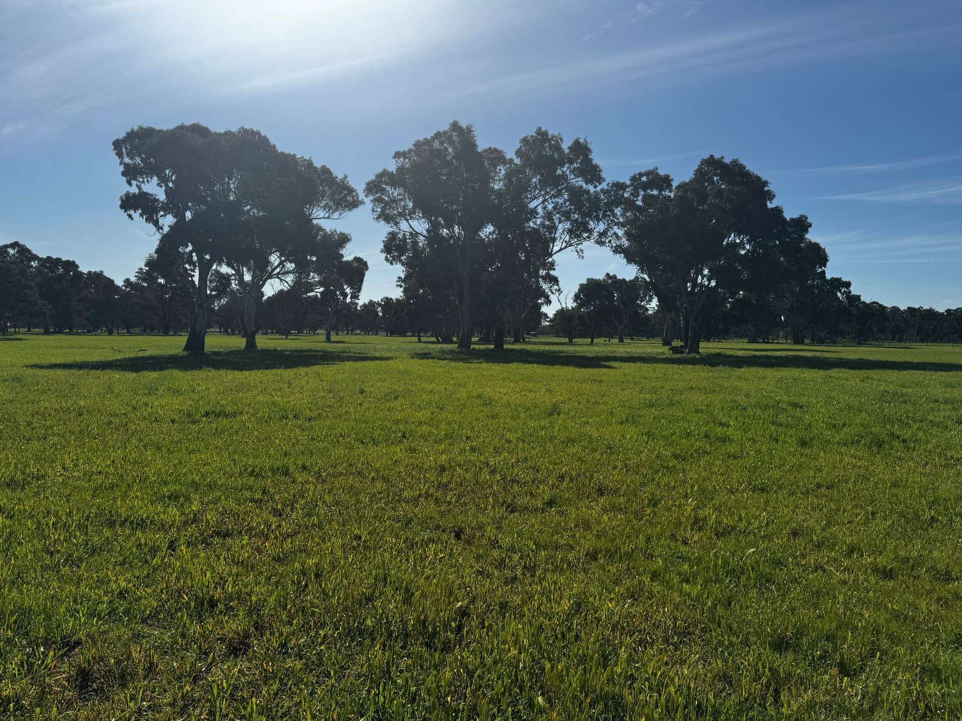 84 West Jindalee Road, Cootamundra For Sale by Farmbuy.com - image 16