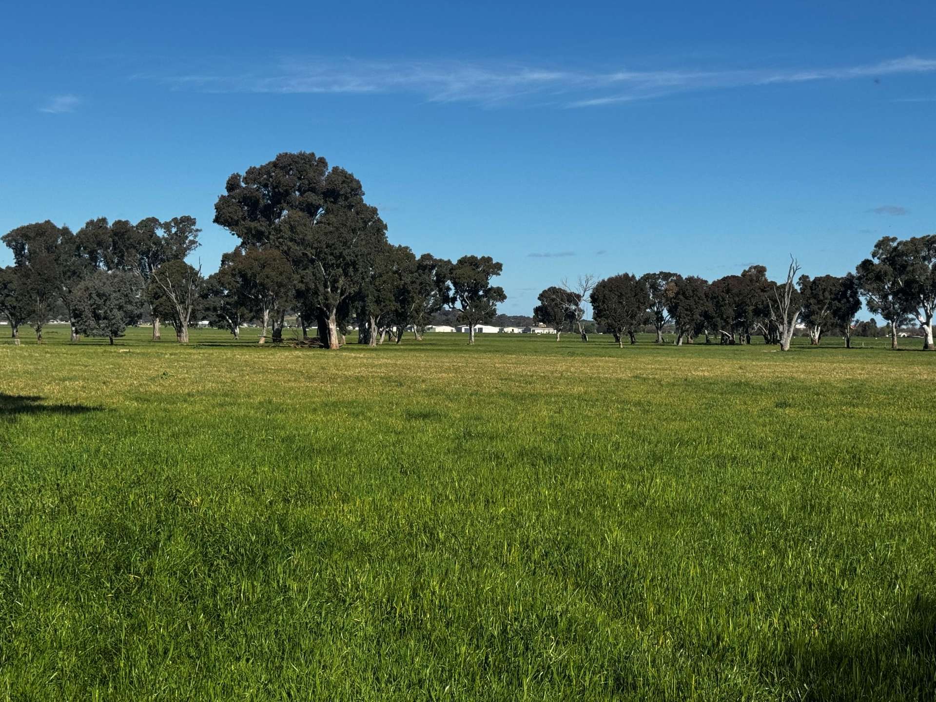 84 West Jindalee Road, Cootamundra For Sale by Farmbuy.com - image 18