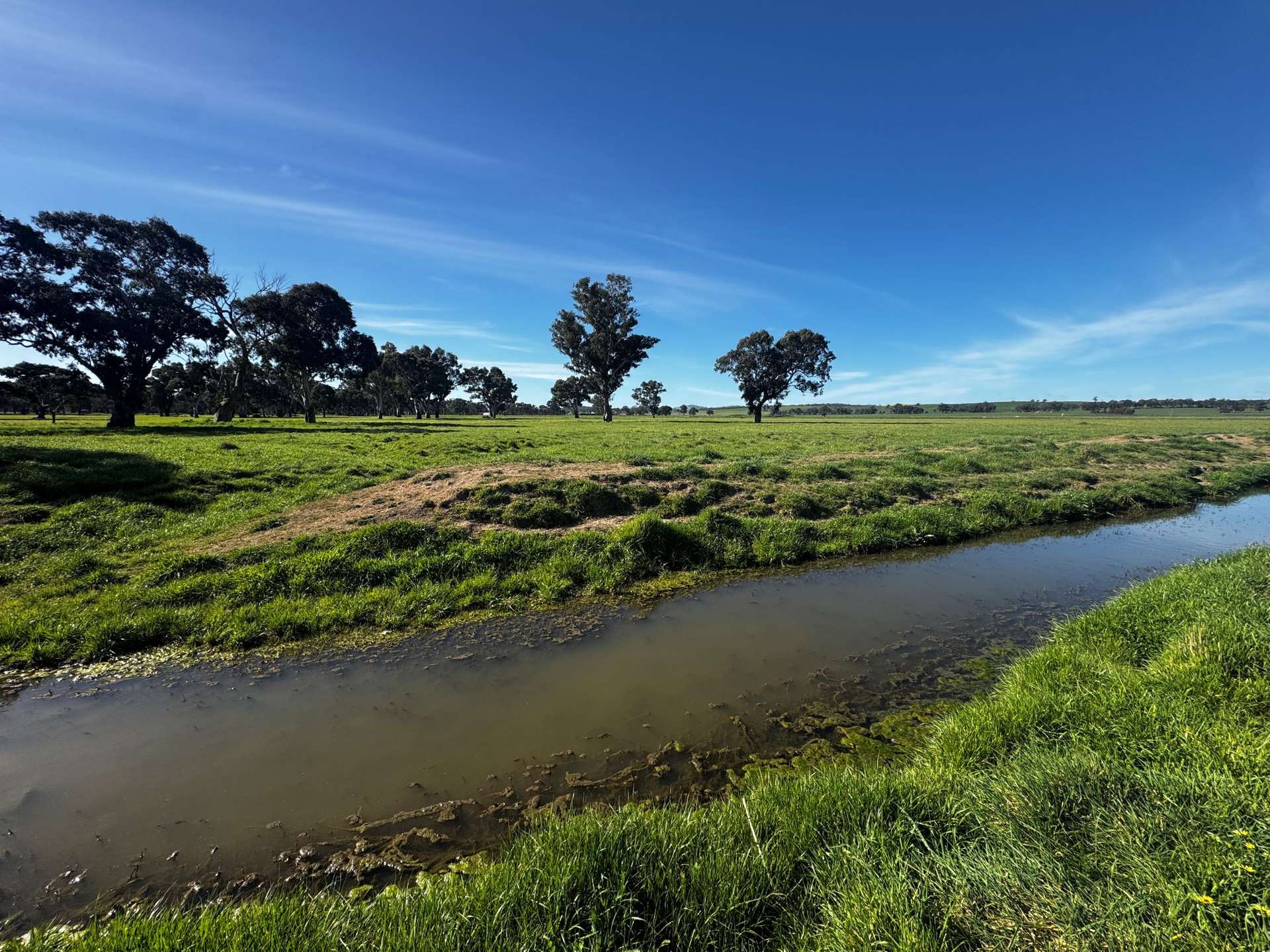 84 West Jindalee Road, Cootamundra For Sale by Farmbuy.com - image 4