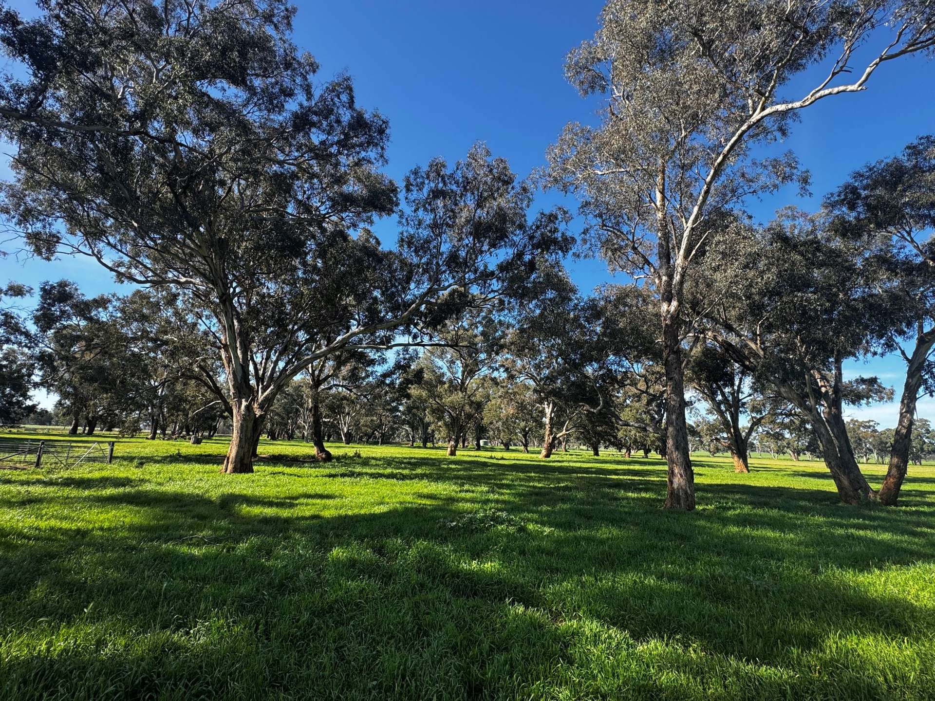84 West Jindalee Road, Cootamundra For Sale by Farmbuy.com - image 8