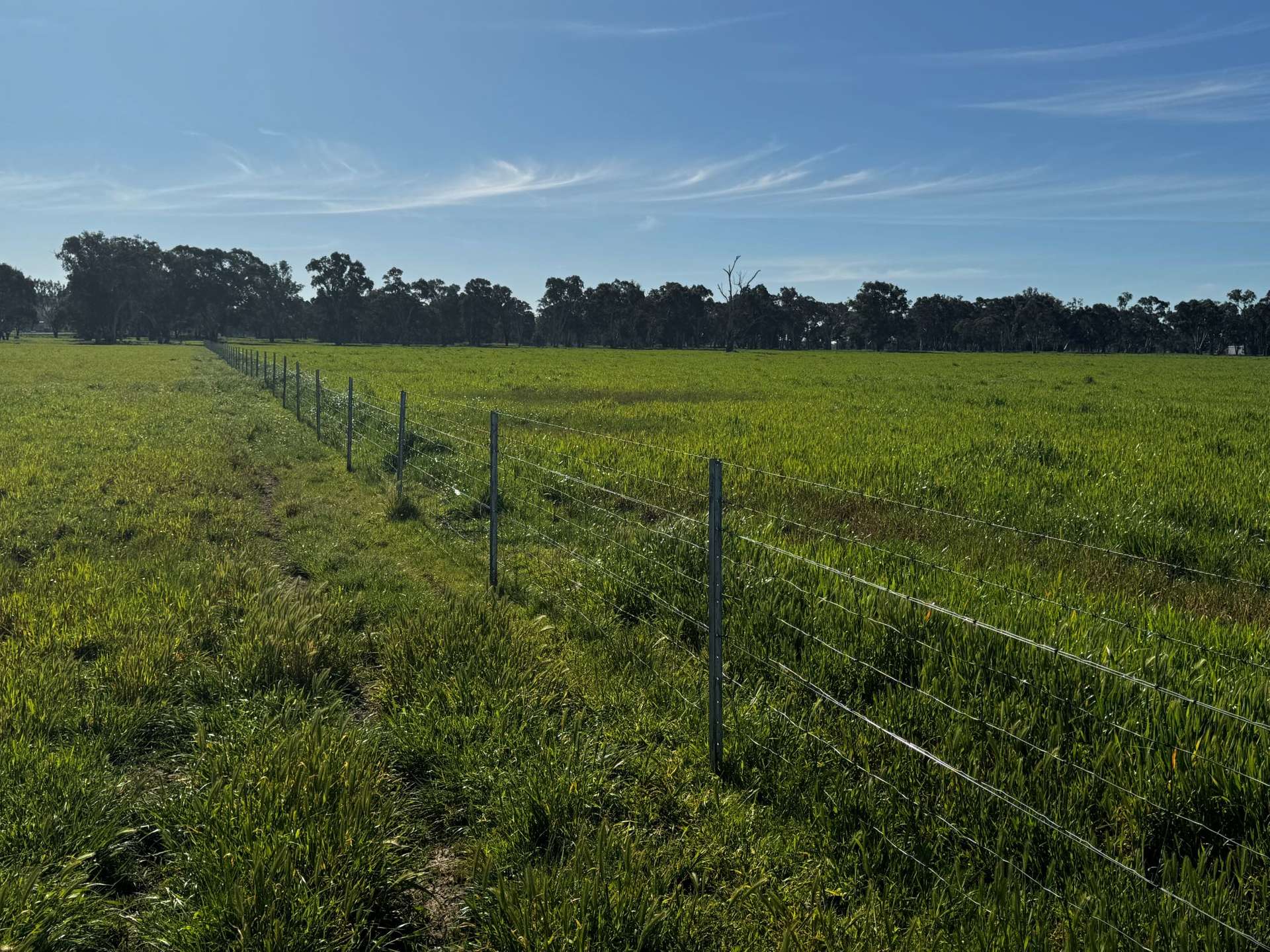 84 West Jindalee Road, Cootamundra For Sale by Farmbuy.com - image 15