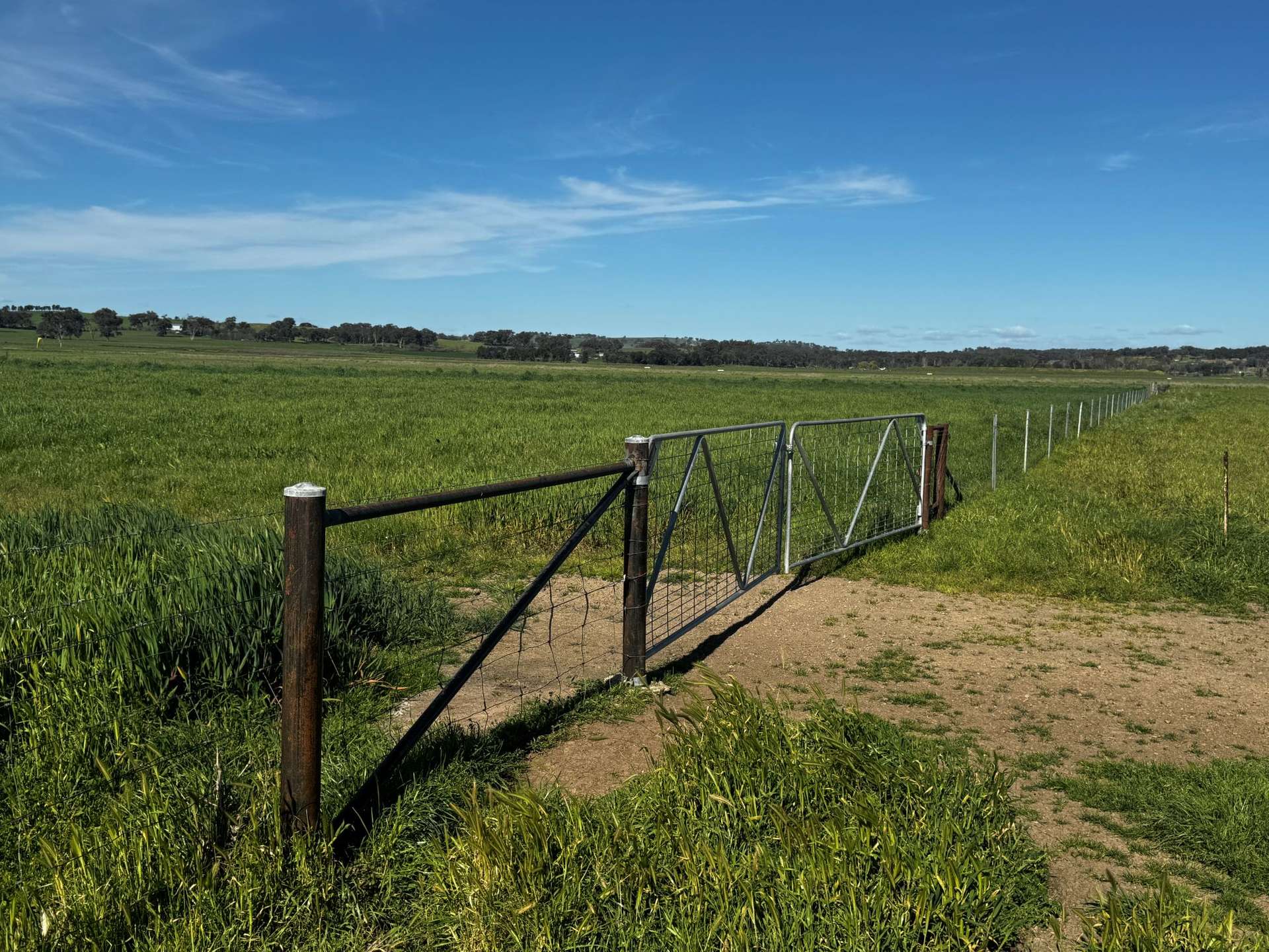 84 West Jindalee Road, Cootamundra For Sale by Farmbuy.com - image 14