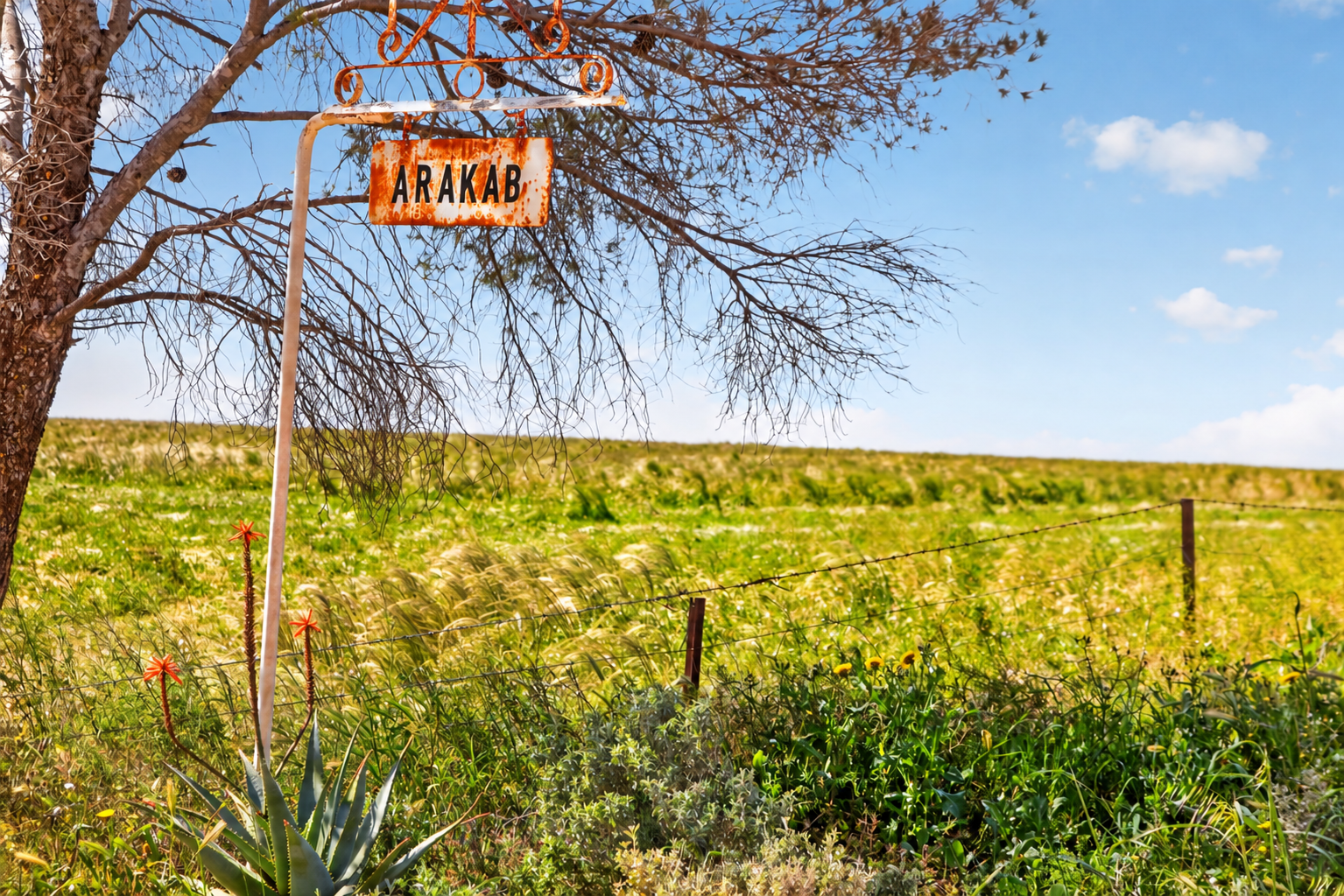 752 Greenways Road, Nildottie Auction by Farmbuy.com - image 1