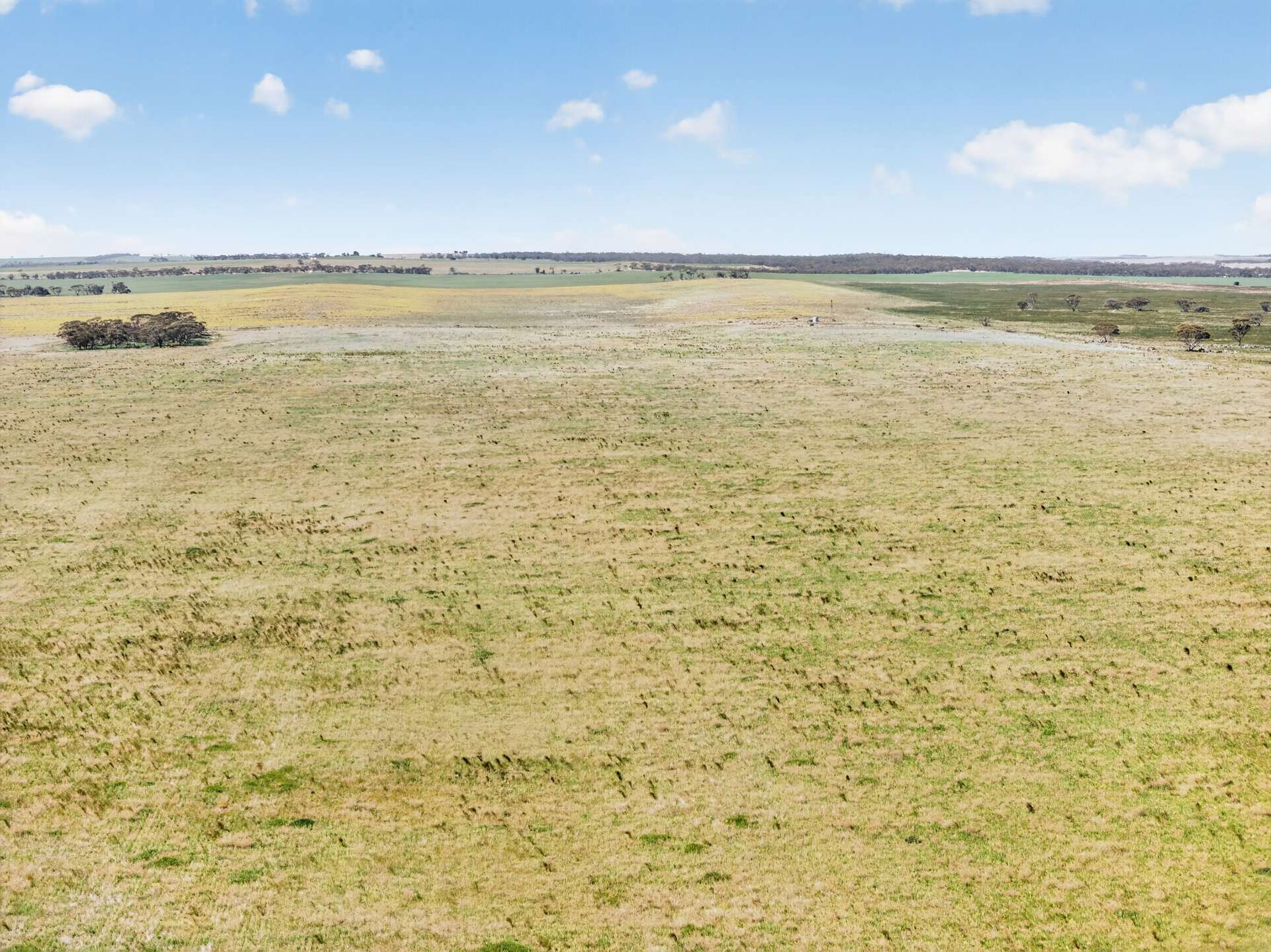 752 Greenways Road, Nildottie Auction by Farmbuy.com - image 9