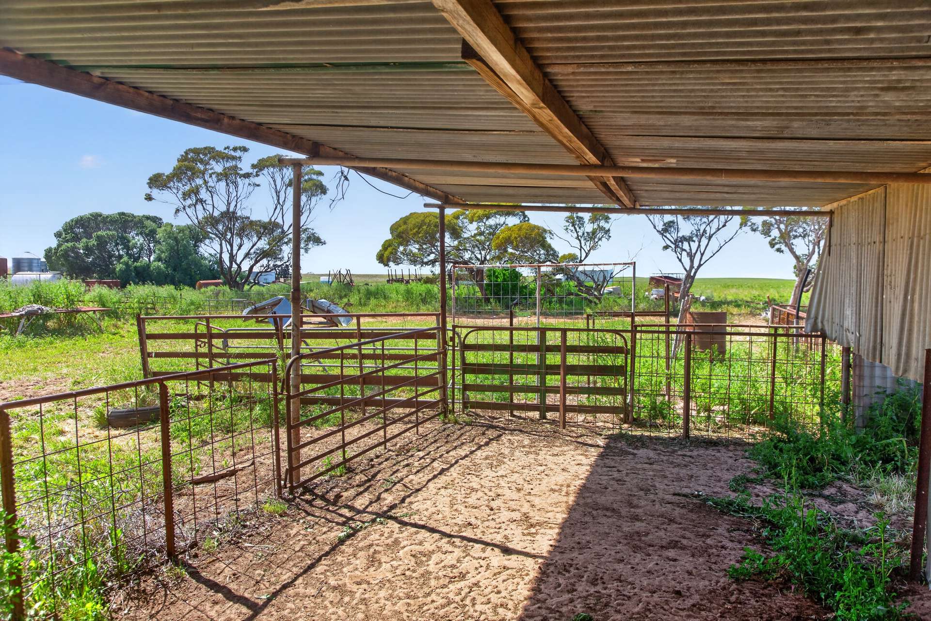752 Greenways Road, Nildottie Auction by Farmbuy.com - image 14